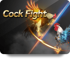 VF555 Bet Online: How to Maximize Your Winnings